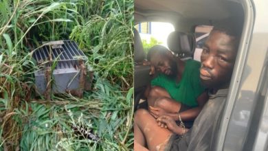 Fearless transformer thieves jailed