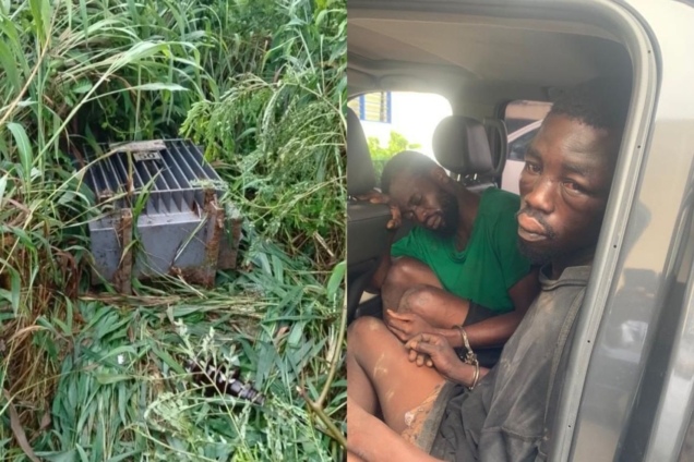 Fearless transformer thieves jailed