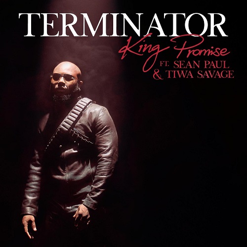 King Promise Ft Sean Paul x Tiwa Savage - Terminator Remix