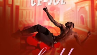 Ce Joe - Fall