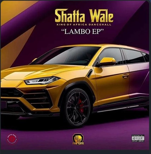 Shatta Wale - Are You Sure