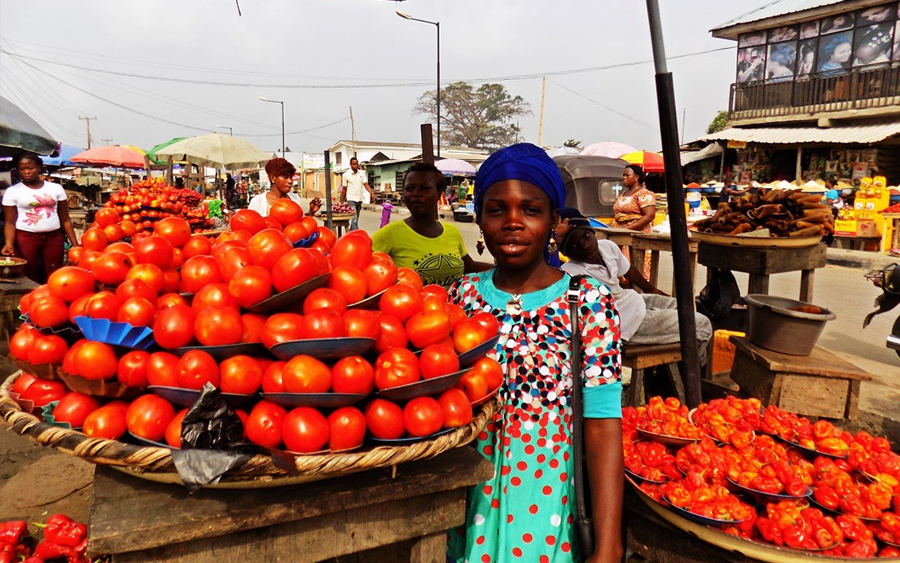 Tomato traders warn of price surge as Burkina Faso attacks disrupt supply
